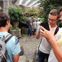 Dračí výprava do Prahy