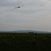 Drakyáda