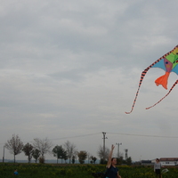 Drakyáda