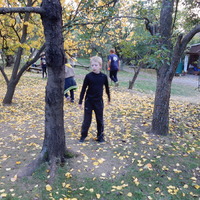 Říjnová oddílovka