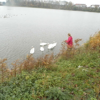 Sviští výlet do  Ponětovic