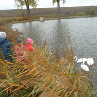 Sviští výlet do  Ponětovic
