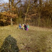 Sviští vítání jara