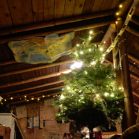 Vánoční oddílovka