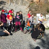 Výprava Veverek na Ditrich