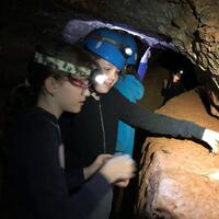 Výprava Veverek na Ditrich