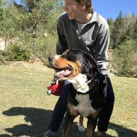 Výprava Veverek na Ditrich