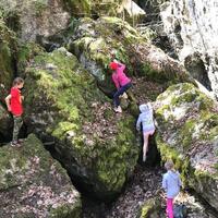 Výprava Veverek na Ditrich