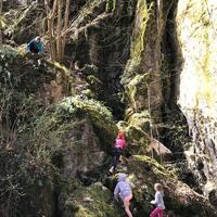 Výprava Veverek na Ditrich