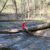 Výprava Veverek na Ditrich