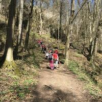 Výprava Veverek na Ditrich