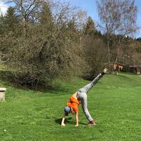 Výprava Veverek na Ditrich