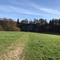 Výprava Veverek na Ditrich