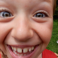 Veverčí puťák na Oslavku