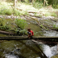 Veverčí puťák na Oslavku