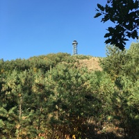 Veverčí výprava do Lulče