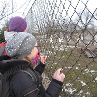 VEVERČÍ VÝPRAVA DO OKOLÍ ŠLAPANIC