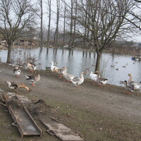 VEVERČÍ VÝPRAVA DO OKOLÍ ŠLAPANIC