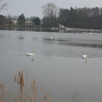 VEVERČÍ VÝPRAVA DO OKOLÍ ŠLAPANIC
