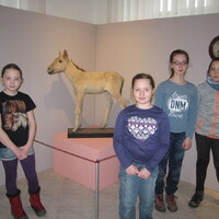 VEVERČÍ VÝPRAVA DO OKOLÍ ŠLAPANIC