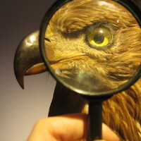 VEVERČÍ VÝPRAVA DO OKOLÍ ŠLAPANIC