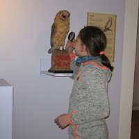 VEVERČÍ VÝPRAVA DO OKOLÍ ŠLAPANIC