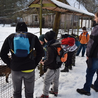 Vlčí výprava na Nový hrad