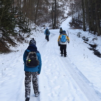 Vlčí výprava na Nový hrad