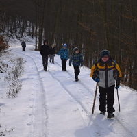 Vlčí výprava na Nový hrad