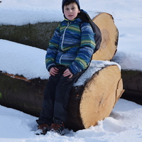 Vlčí výprava na Nový hrad