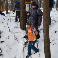 Vlčí výprava na Nový hrad