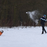 Vlčí výprava na Nový hrad