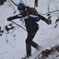 Vlčí výprava na Nový hrad