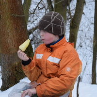 Vlčí výprava na Nový hrad