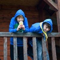 Vlčí výprava na Šifrův palouček