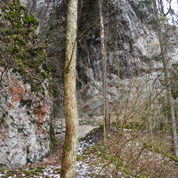 Vlčí výprava do Jedovnic