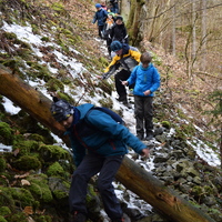 Vlčí výprava do Jedovnic