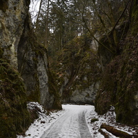 Vlčí výprava do Jedovnic