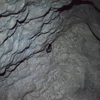 Vlčí výprava do Jedovnic