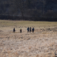 Vlčí výprava do Jedovnic