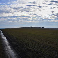 Vlčí výprava do Jedovnic