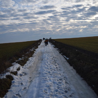 Vlčí výprava do Jedovnic
