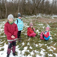 Výprava do Veselí nad Moravou