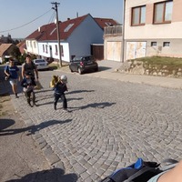 Výprava Kobrů na Akátovou věž