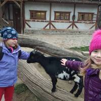 Výprava Sov do ZOO
