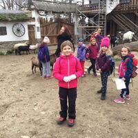 Výprava Sov do ZOO
