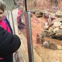 Výprava Sov do ZOO
