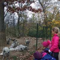 Výprava Sov do ZOO