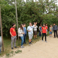 Závěrečná oddílovka