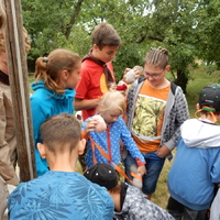 Závěrečná oddílovka